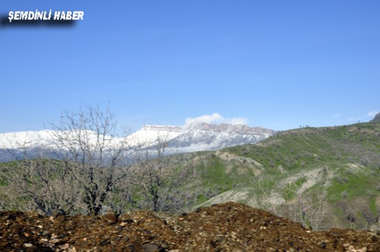 Fotoğraflar: Azer DEMİR - Yaşar KAPLAN