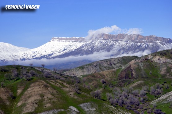 Fotoğraflar: Azer DEMİR - Yaşar KAPLAN