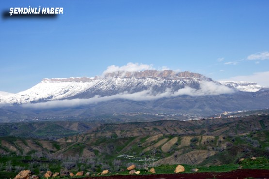 Fotoğraflar: Azer DEMİR - Yaşar KAPLAN