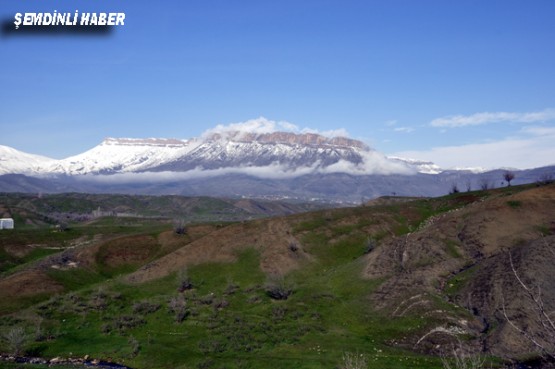 Fotoğraflar: Azer DEMİR - Yaşar KAPLAN