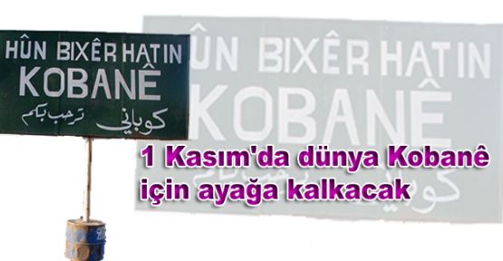 1 Kasım'da dünya Kobani için ayağa kalkacak