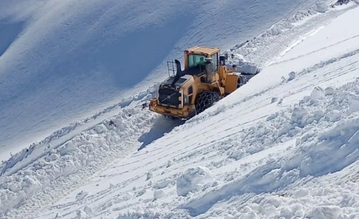 Şemdinli'de 18 Köy 69 Mezra Yolu Kardan Kapandı