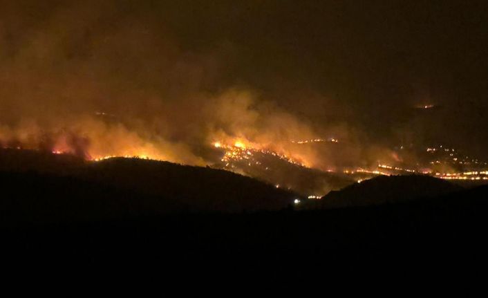 Tarım ve Orman Bakanı Yumaklı, Çınar-Mazıdağı yangınının bilançosunu açıkladı