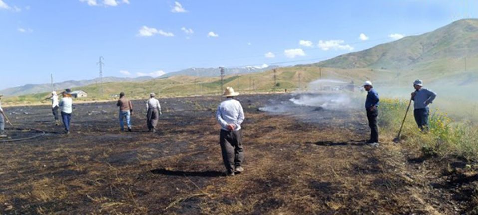 Yüksekova'da tarım arazisinde yangın: Bin bağ ot yandı