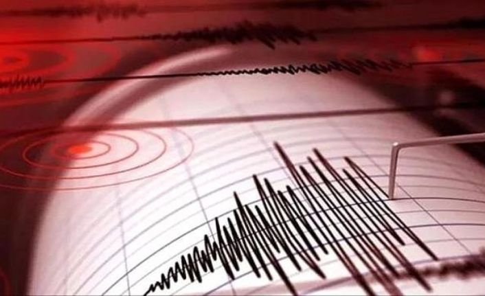 Muş ve Erzurum'da deprem