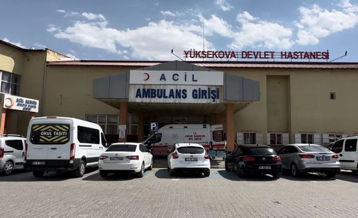 Yüksekova'da anne ve kıza bıçaklı saldırı