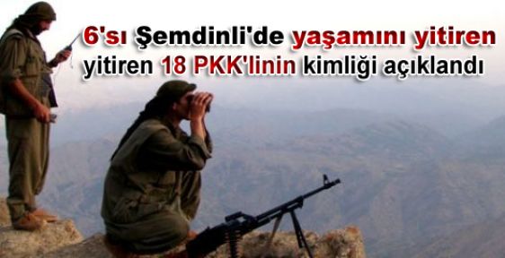 6'sı Şemdinli'de yaşamını yitiren yitiren 18 PKK'linin kimliği açıklandı