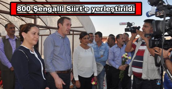 800 Şengalli Siirt'e yerleştirildi