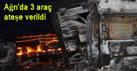 Ağrı'da 3 araç ateşe verildi