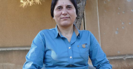 Asya Abdullah: Rojava'ya düşmanlık faydasız