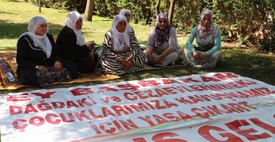 Barış Anneleri Diyarbakır Valiliği önünde oturma eylemi başlattı