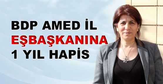 BDP Amed İl Eşbaşkanına 1 yıl hapis