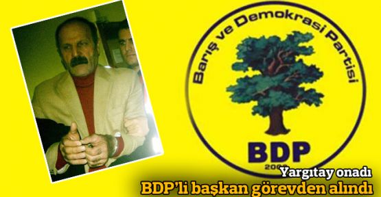 BDP'li başkan görevden alındı