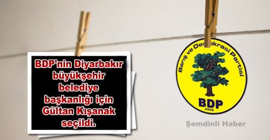 BDP'nin Diyarbakır adayları belirlendi