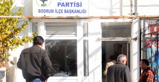 BDP'ye taşlı ve molotoflu saldırı