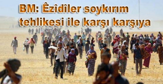 BM: Êzîdîler soykırım tehlikesi ile karşı karşıya