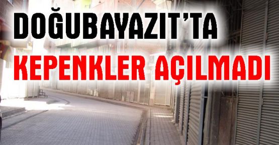 Bulanık ve Doğubayazıt'ta kepenkler açılmadı