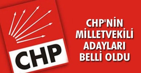 CHP'nin milletvekili aday listesi netleşti