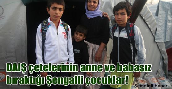 DAIŞ çetelerinin anne ve babasız bıraktığı Şengalli çocuklar!