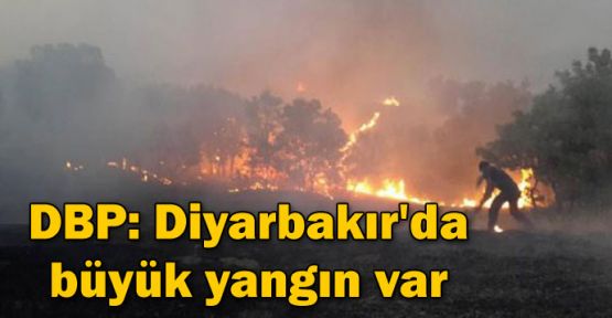 DBP: Diyarbakır'da yangın var ve müdahale edilmiyor