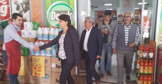 HDP'li Çağlar Demirel: Halk tüm kurumları Silopi'ye bekliyor