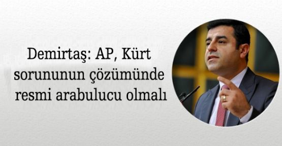 Demirtaş: AP, Kürt sorununun çözümünde resmi arabulucu olmalı