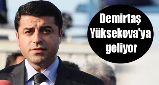 Selahattin Demirtaş Yüksekova ilçesini ziyaret edecek!