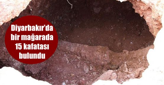 Diyarbakır'da bir mağarada 15 kafatası bulundu