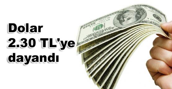 Dolar 2.30 TL'ye dayandı