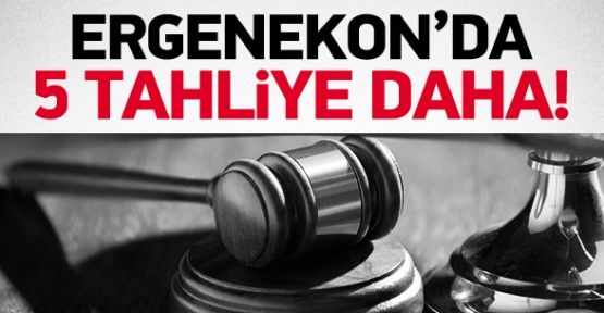 Ergenekon'da tahliyeler devam ediyor