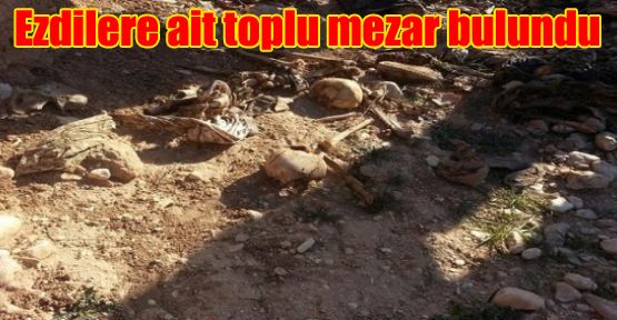 Ezdilere ait toplu mezar bulundu