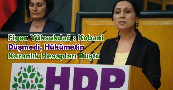 Yüksekdağ : Kobani Düşmedi, Hükümetin Karanlık Hesapları Düştü