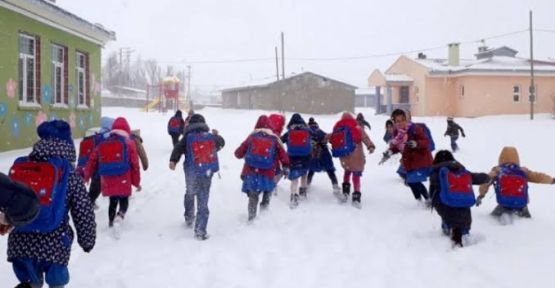 Hakkari merkez ve Yüksekova da okullar tatil edildi