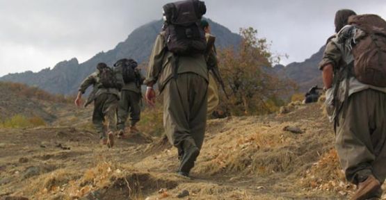 Hayatını kaybeden bir PKK'linin kimliği açıklandı