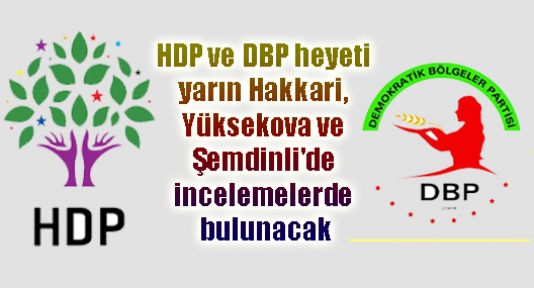 HDP ve DBP heyeti Şemdinli'de incelemelerde bulunacak