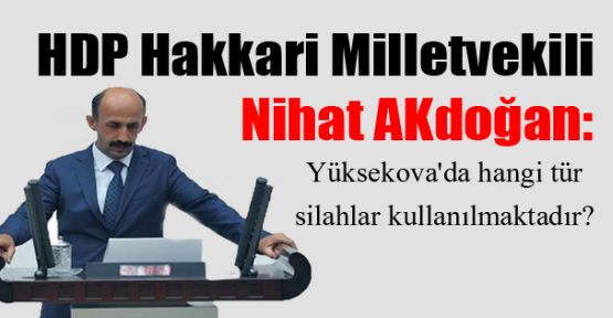 HDP'li Akdoğan: Yüksekova'da hangi tür silahlar kullanılmaktadır?