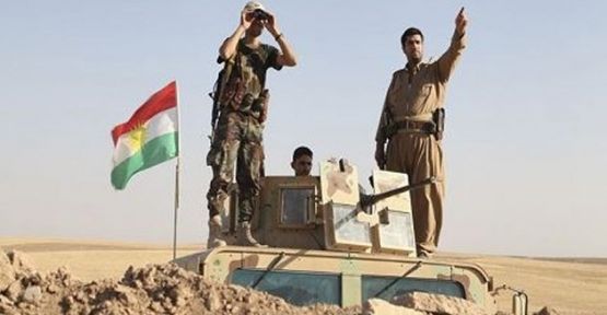 Irak: IŞİD'e karşı savaşan Peşmerge'ye ağır silah vereceğiz