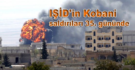 IŞİD'in Kobani saldırıları 35. gününde