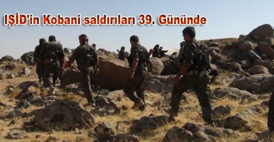 IŞİD'in Kobani saldırıları 39. Gününde