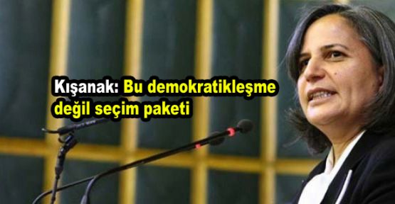 Kışanak: Bu demokratikleşme değil seçim paketi