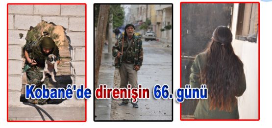 Kobani'de direnişin 66. günü