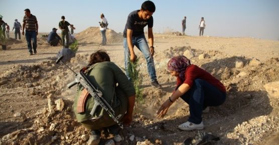 Kobani'de Suruç Şehitleri Ormanı oluşturuldu