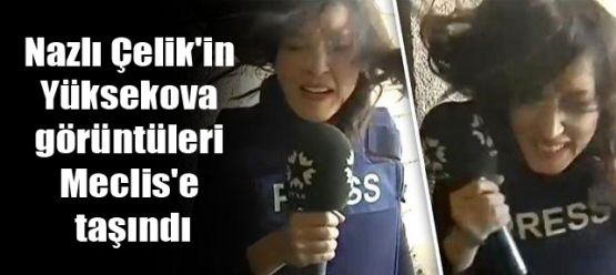 Nazlı Çelik'in Yüksekova görüntüleri Meclis'e taşındı