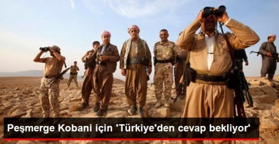 Peşmerge Kobani için 'Türkiye'den cevap bekliyor'