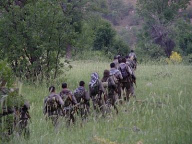 PKK Şırnak'ta ağaç kesen 7 kişiyi gözaltına aldı iddiası