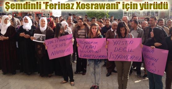 Şemdinli 'Ferinaz Xosrawani' için yürüdü