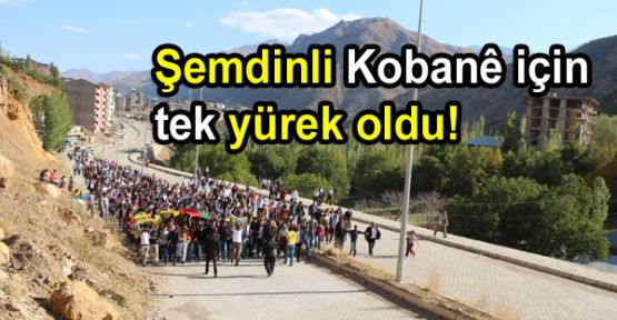 Şemdinli Kobanê için  tek yürek oldu!