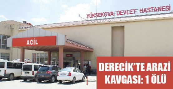 Şemdinli'de arazi kavgası: 1 ölü