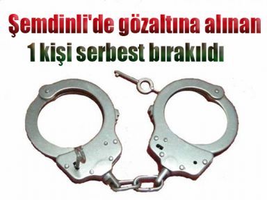 Şemdinli'de gözaltına alınan 1 kişi serbest bırakıldı