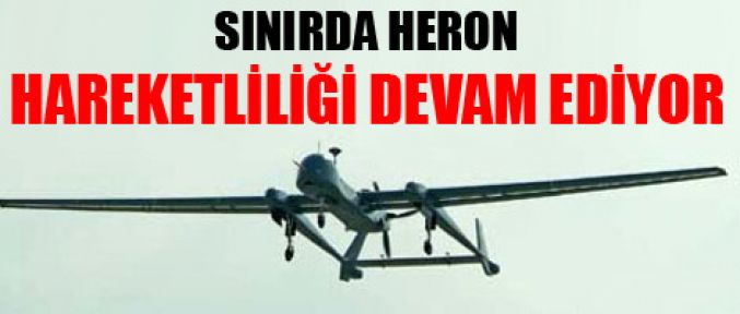 Şemdinli'de  Heron hareketliliği